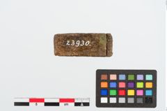 Foto von Beinschieber (NHMW-PRAE-023930)